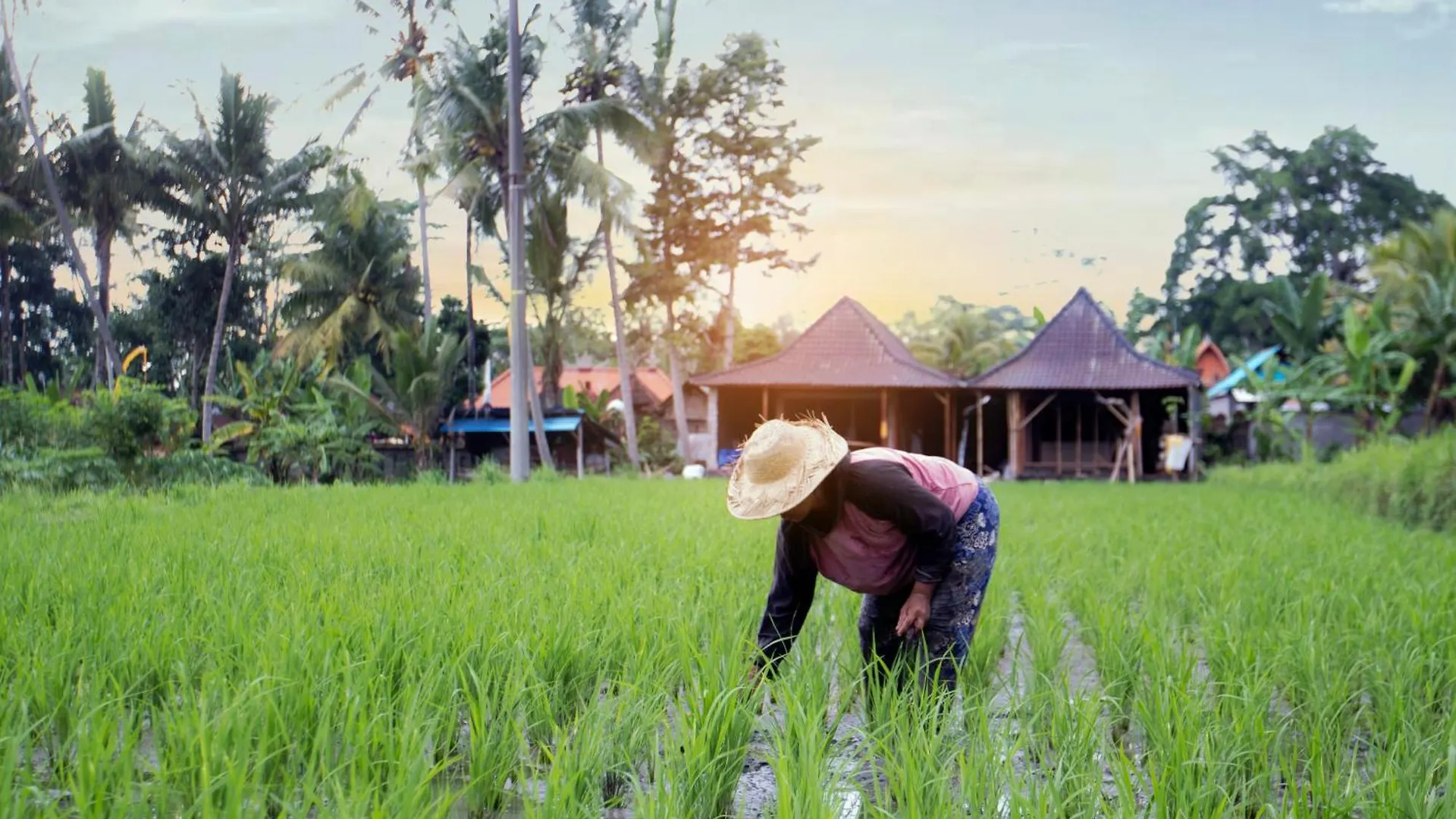 Senja D'Ubud Guest House Ubud (Bali)