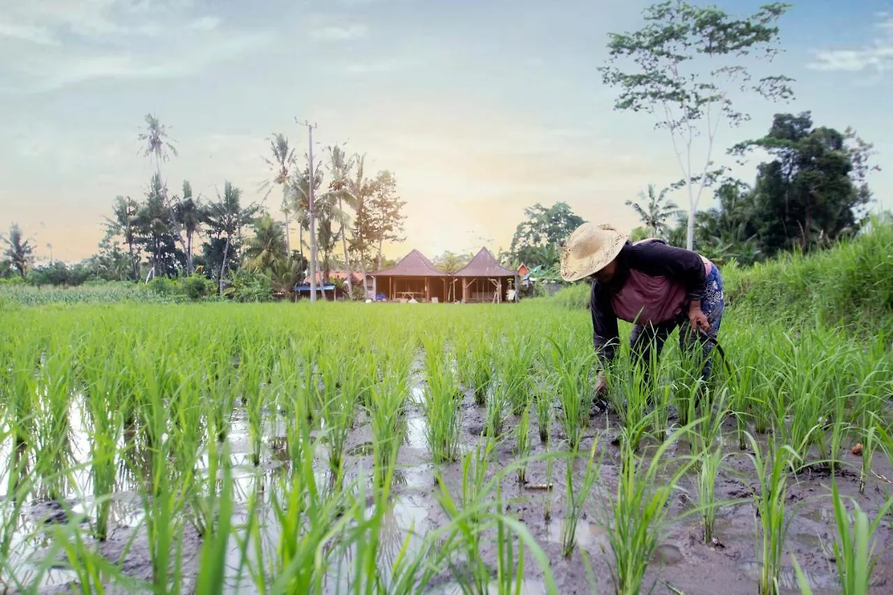 Senja D'Ubud Guest House