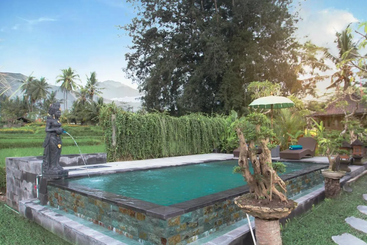 Senja D'Ubud Guest House Ubud (Bali)